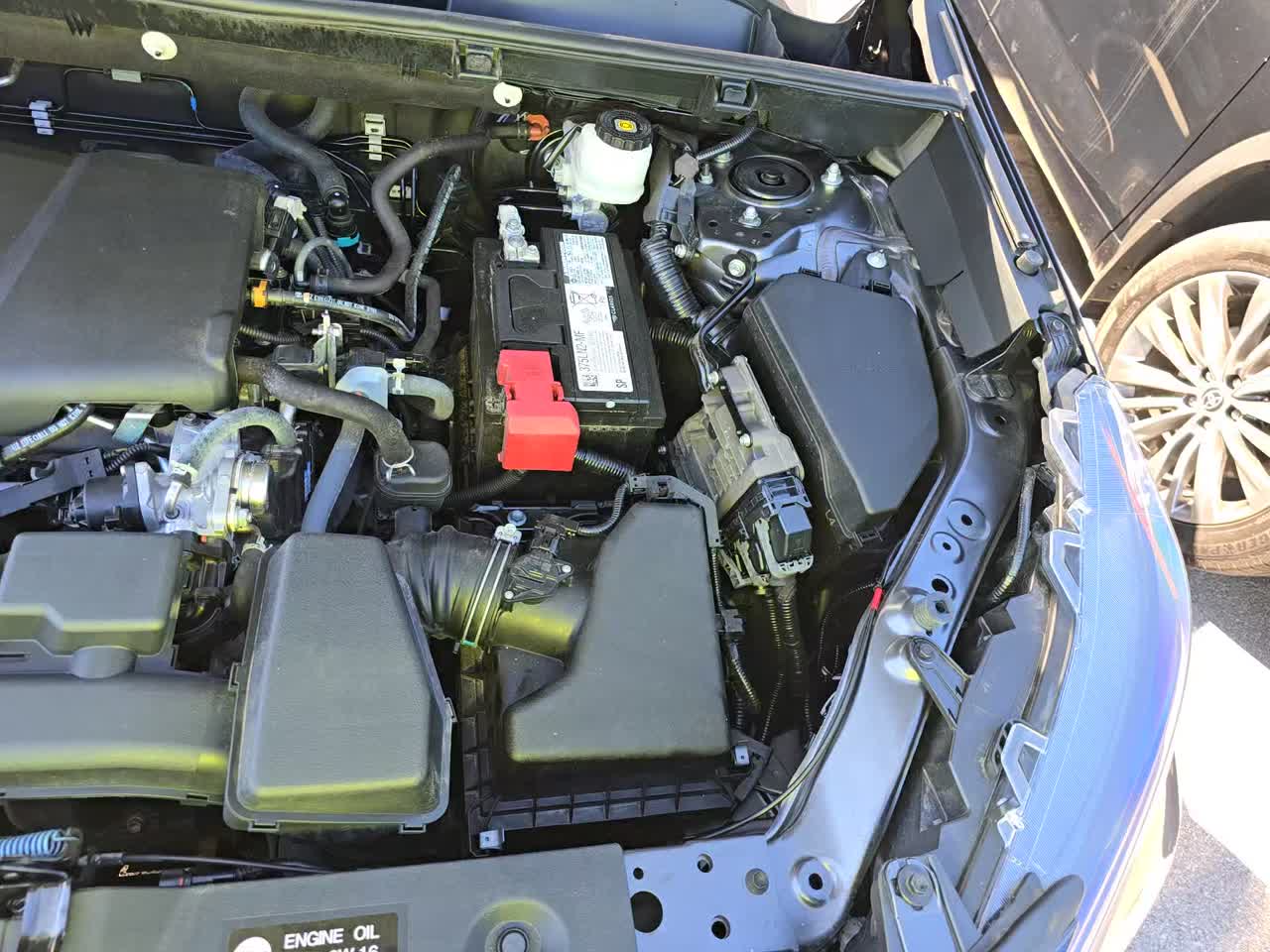 2022 Toyota RAV4 LE FWD