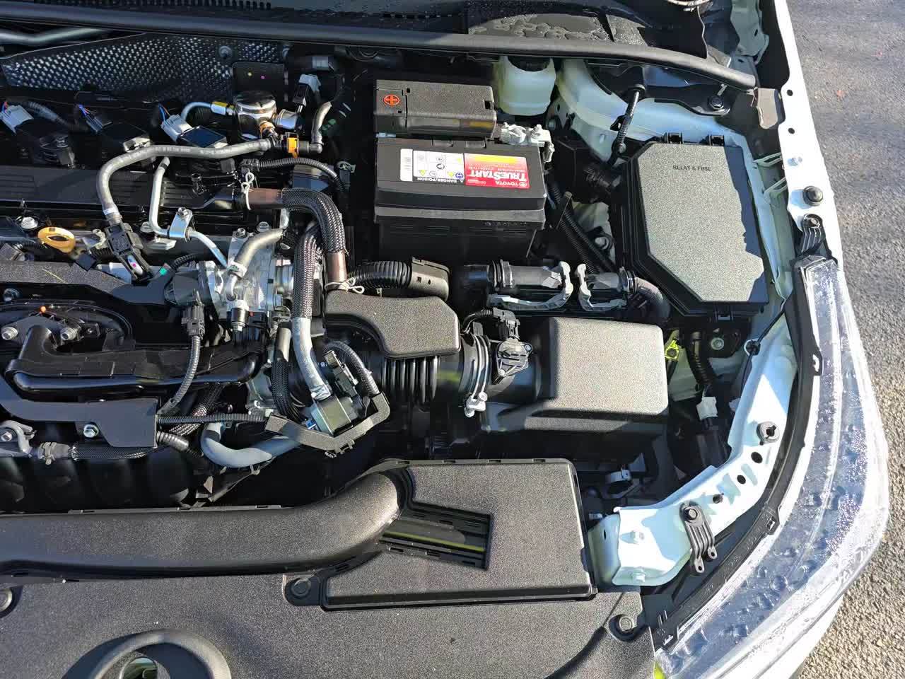 2025 Toyota Corolla FX FWD