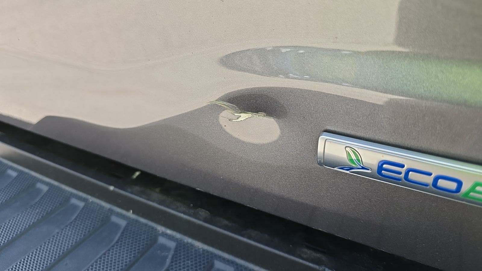 2021 Ford F-150 XL AWD