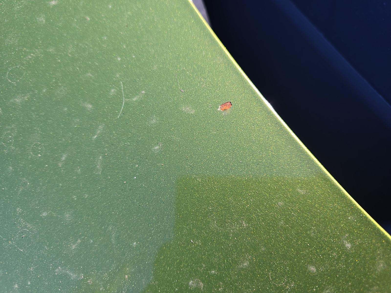 2024 Hyundai Elantra N Line FWD