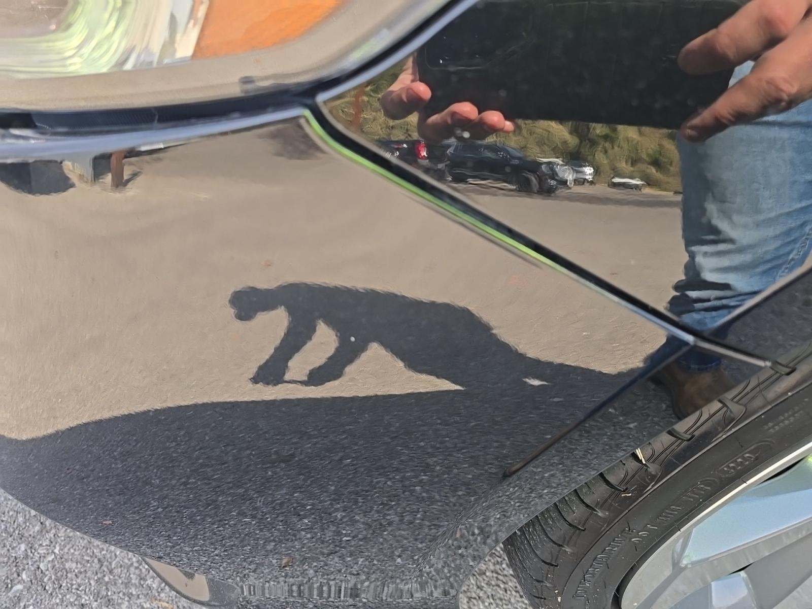 2018 Honda Accord Touring FWD