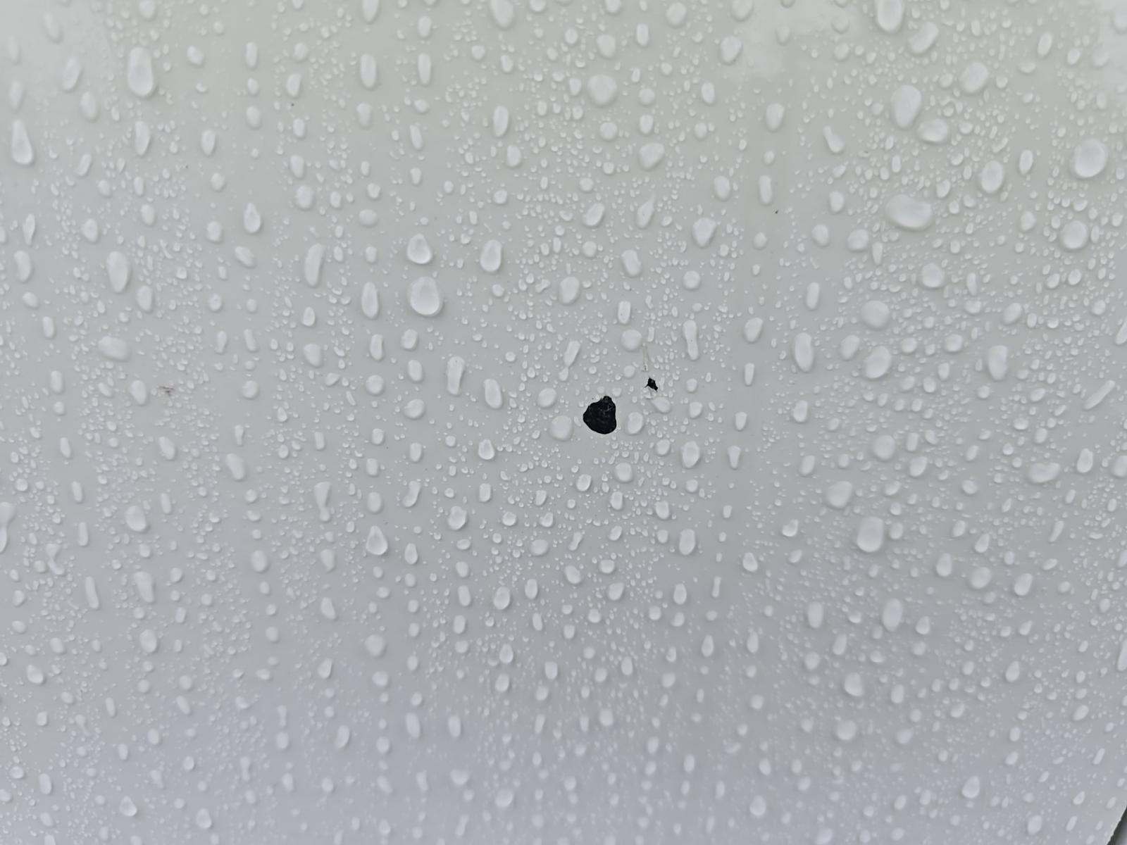 2024 Toyota Camry SE FWD