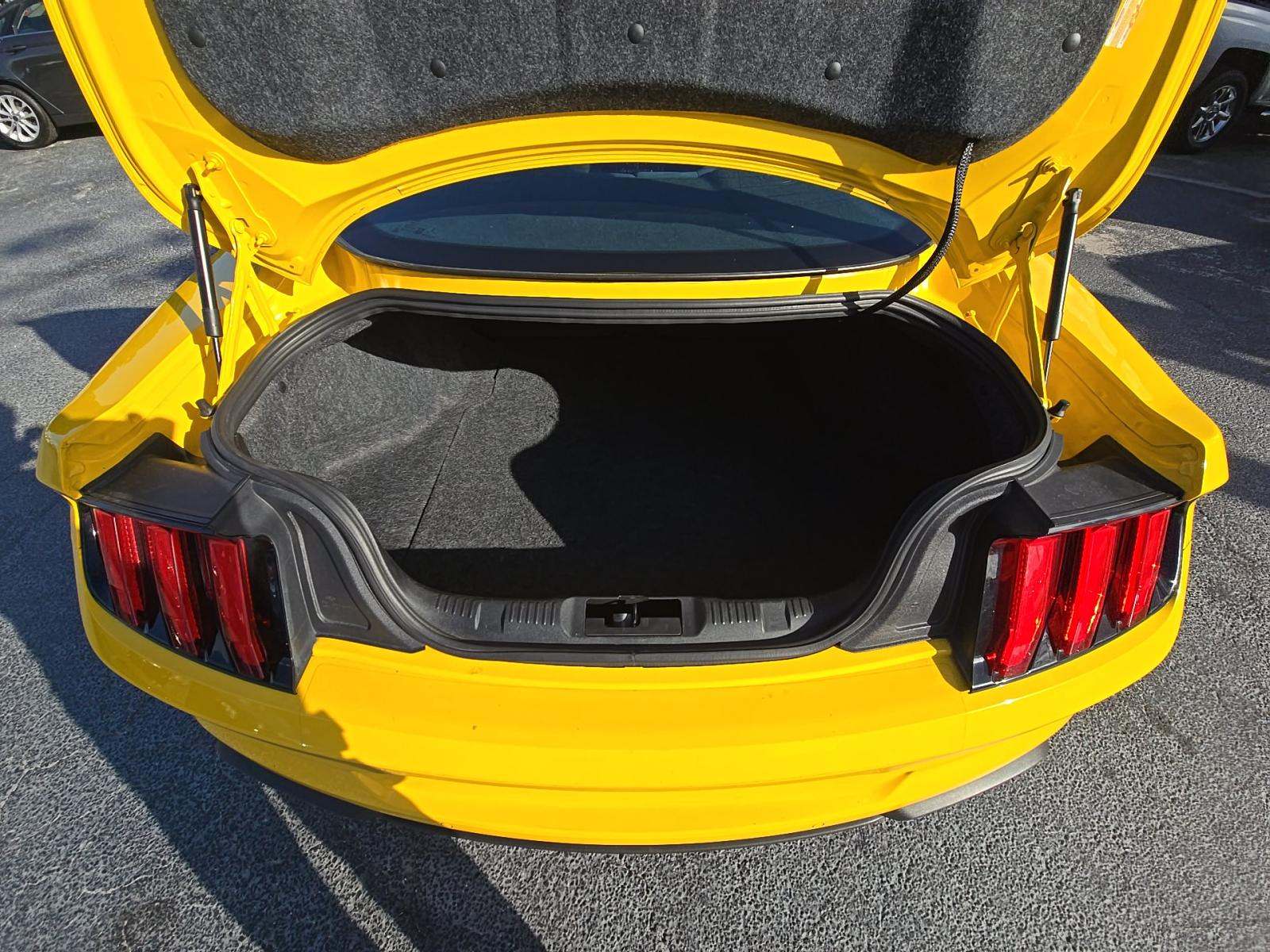FORD MUSTANG - 10