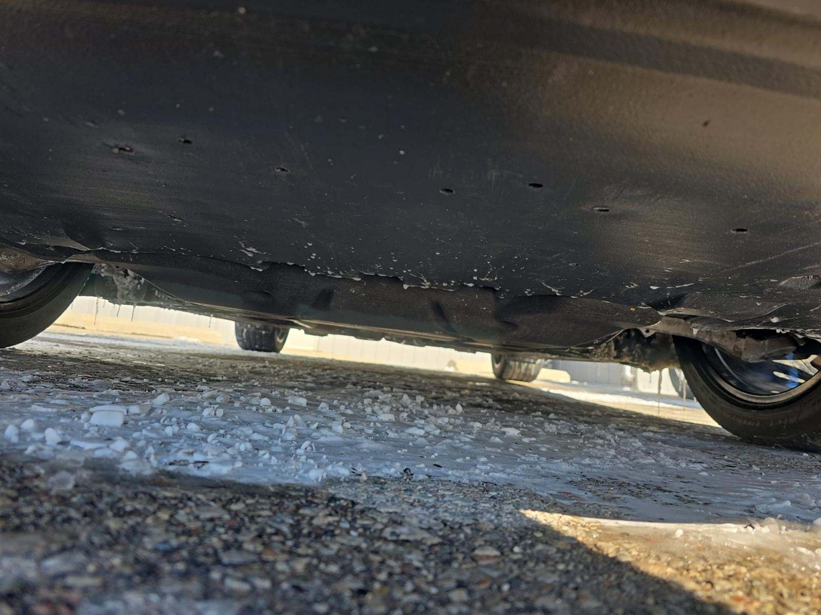 2024 Ford Mustang EcoBoost RWD