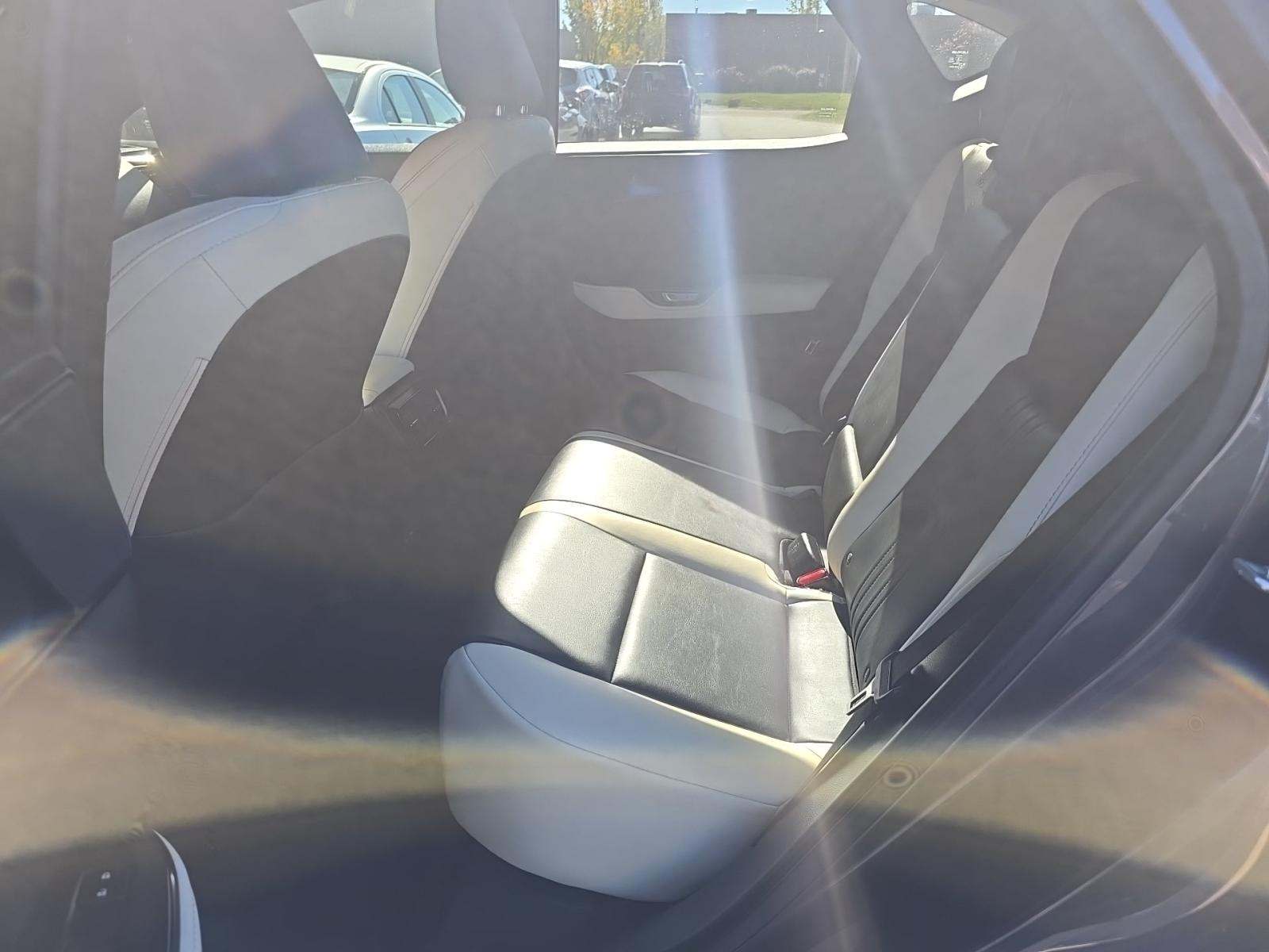 2023 Lexus NX NX 250 FWD