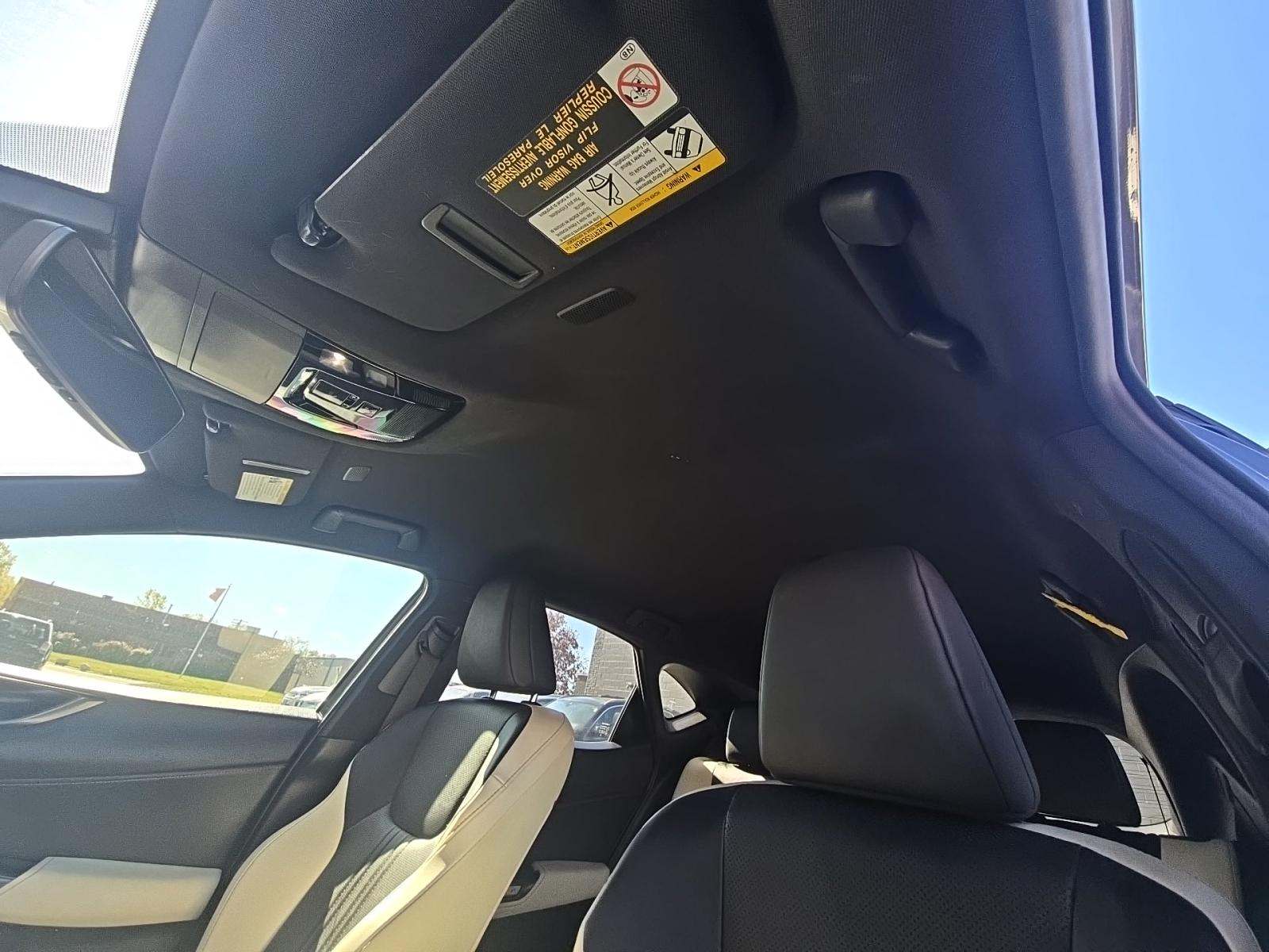 2023 Lexus NX NX 250 FWD