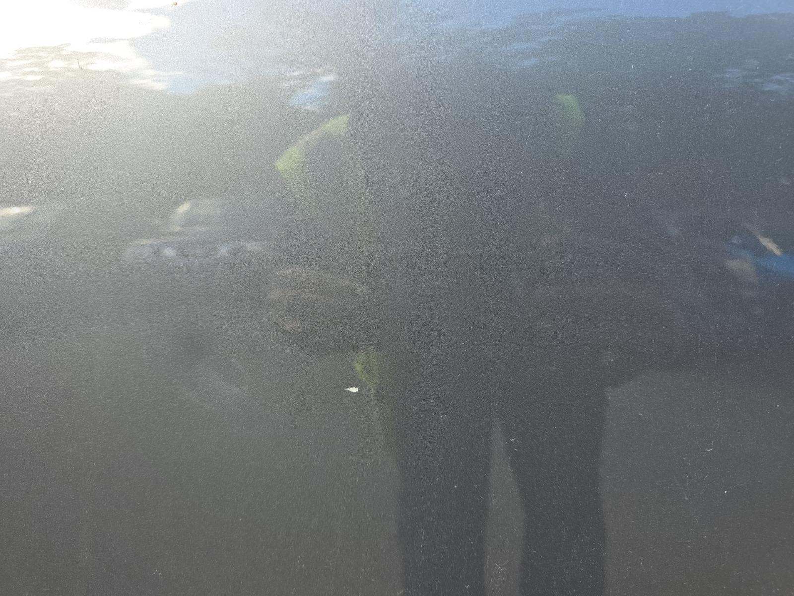 2024 Ford Explorer Limited RWD