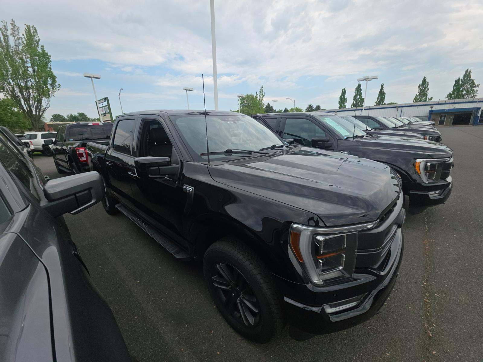 FORD F-150 - 4