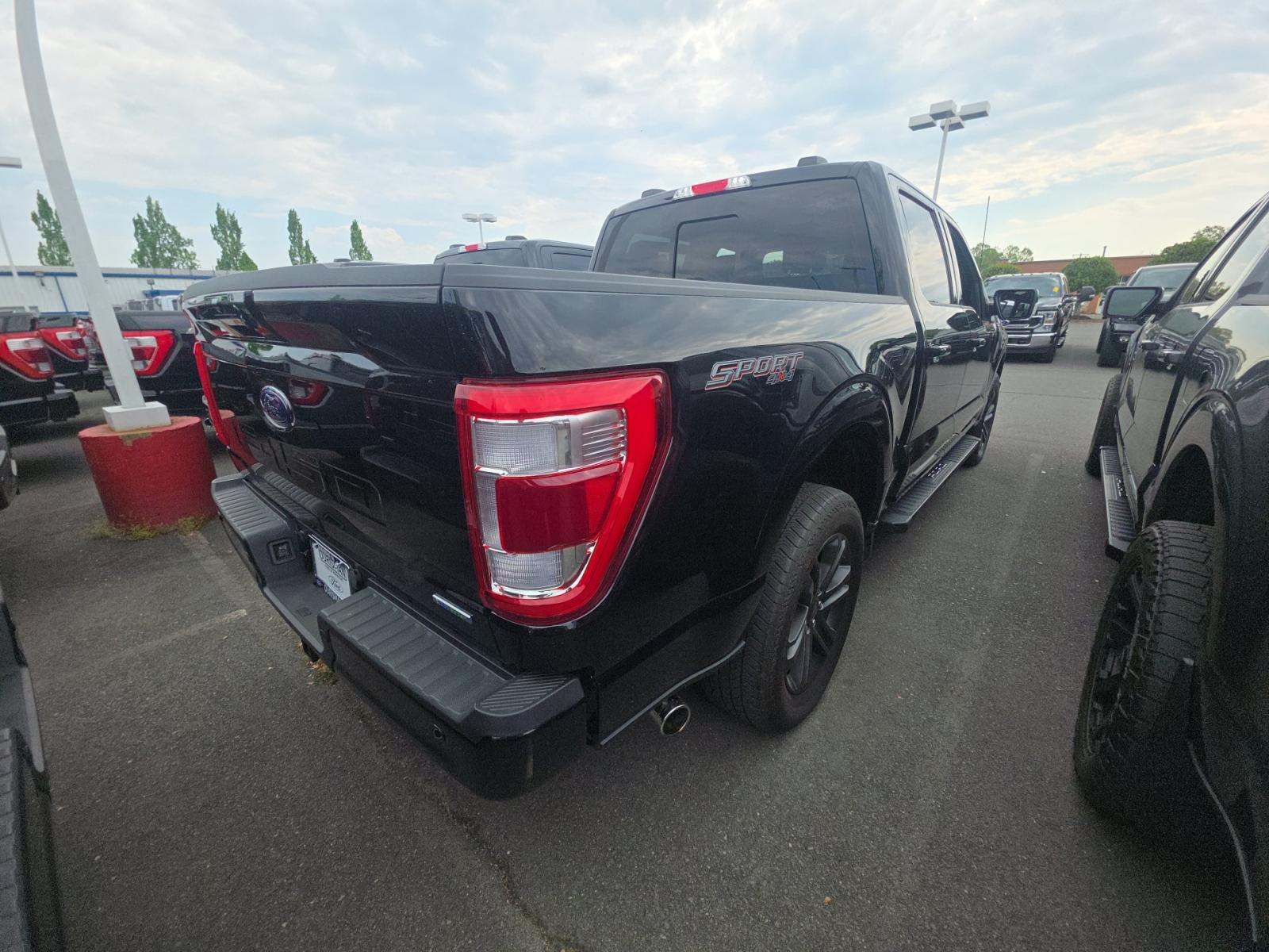 FORD F-150 - 3