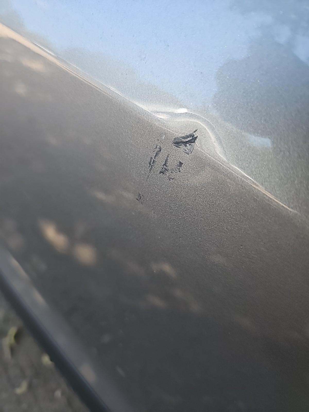 2024 Volkswagen Tiguan 2.0T SE FWD