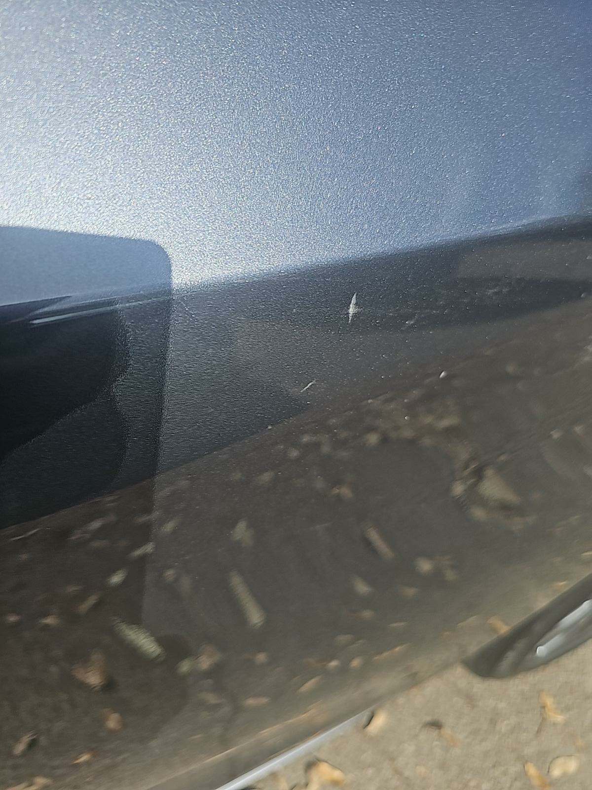 2019 Lexus ES ES 350 Luxury FWD