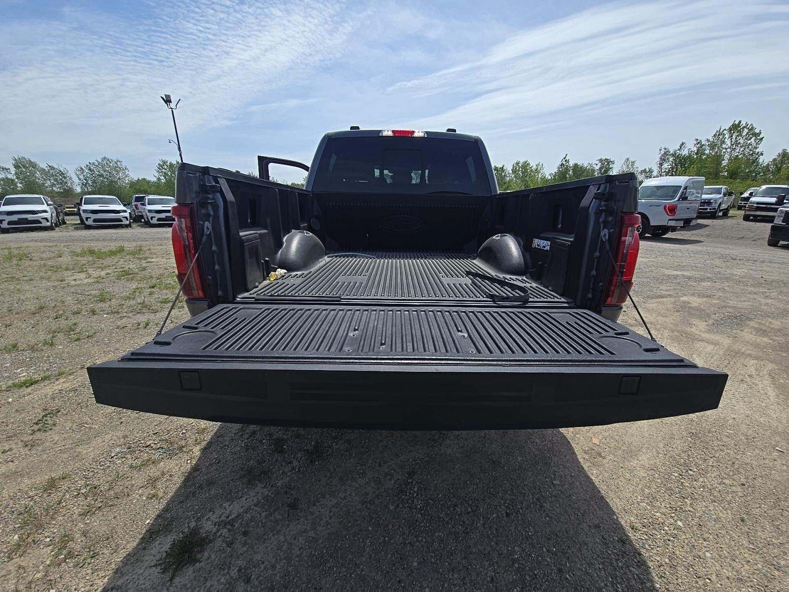 FORD F-150 - 10