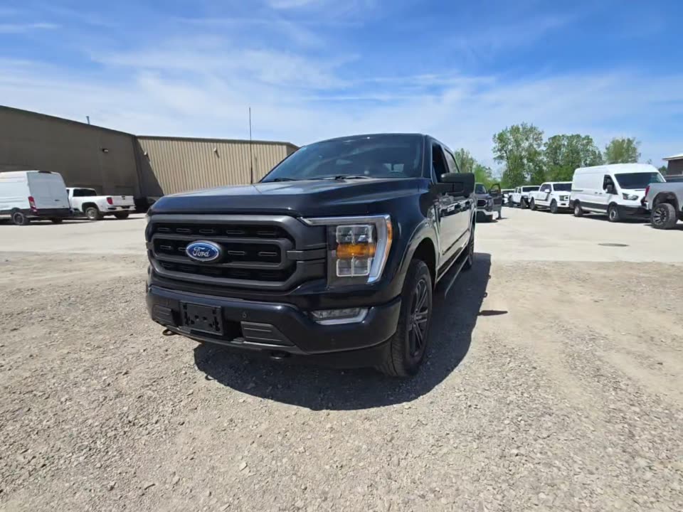 2023 Ford F-150 XLT AWD