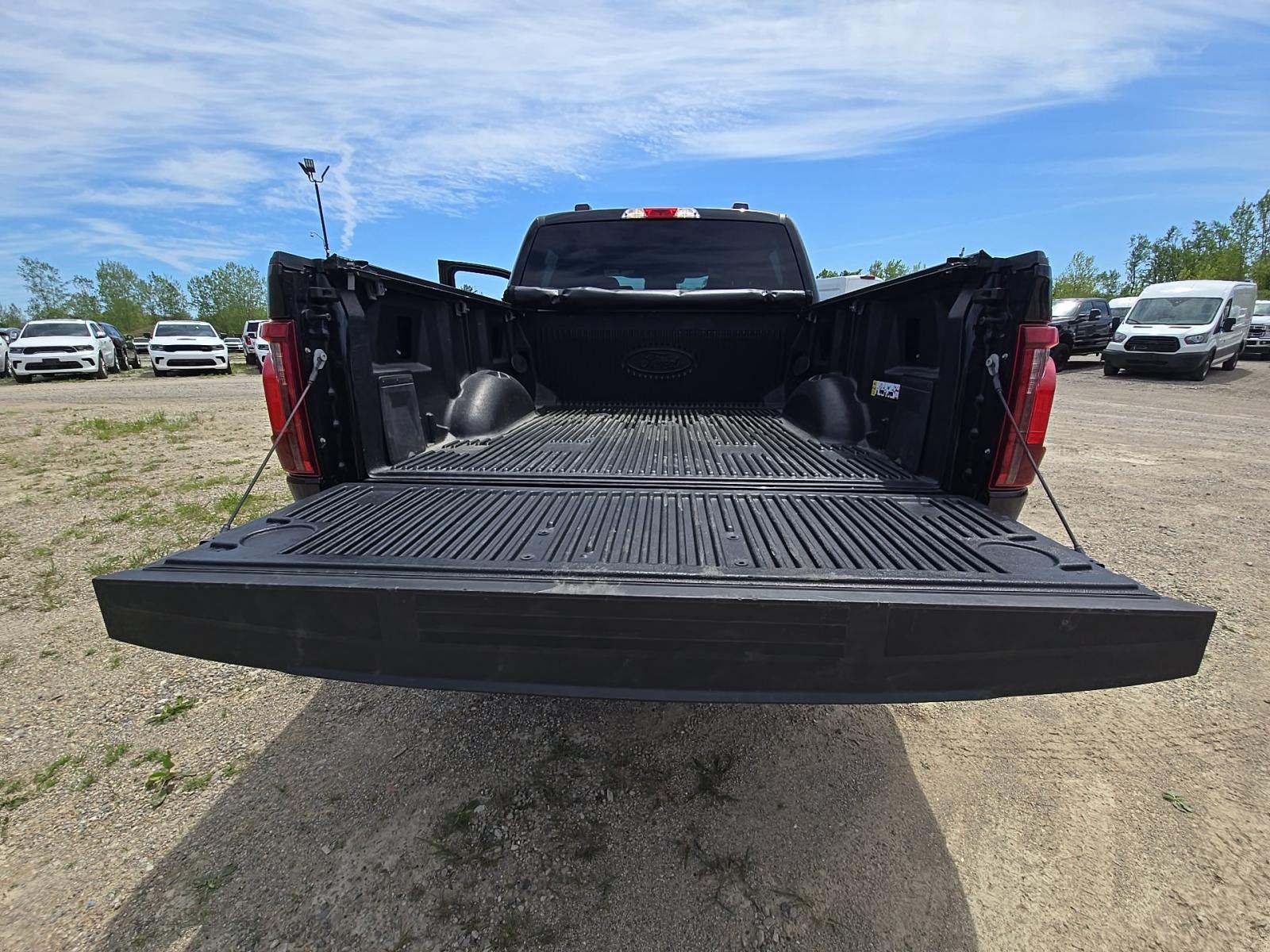 FORD F-150 - 10