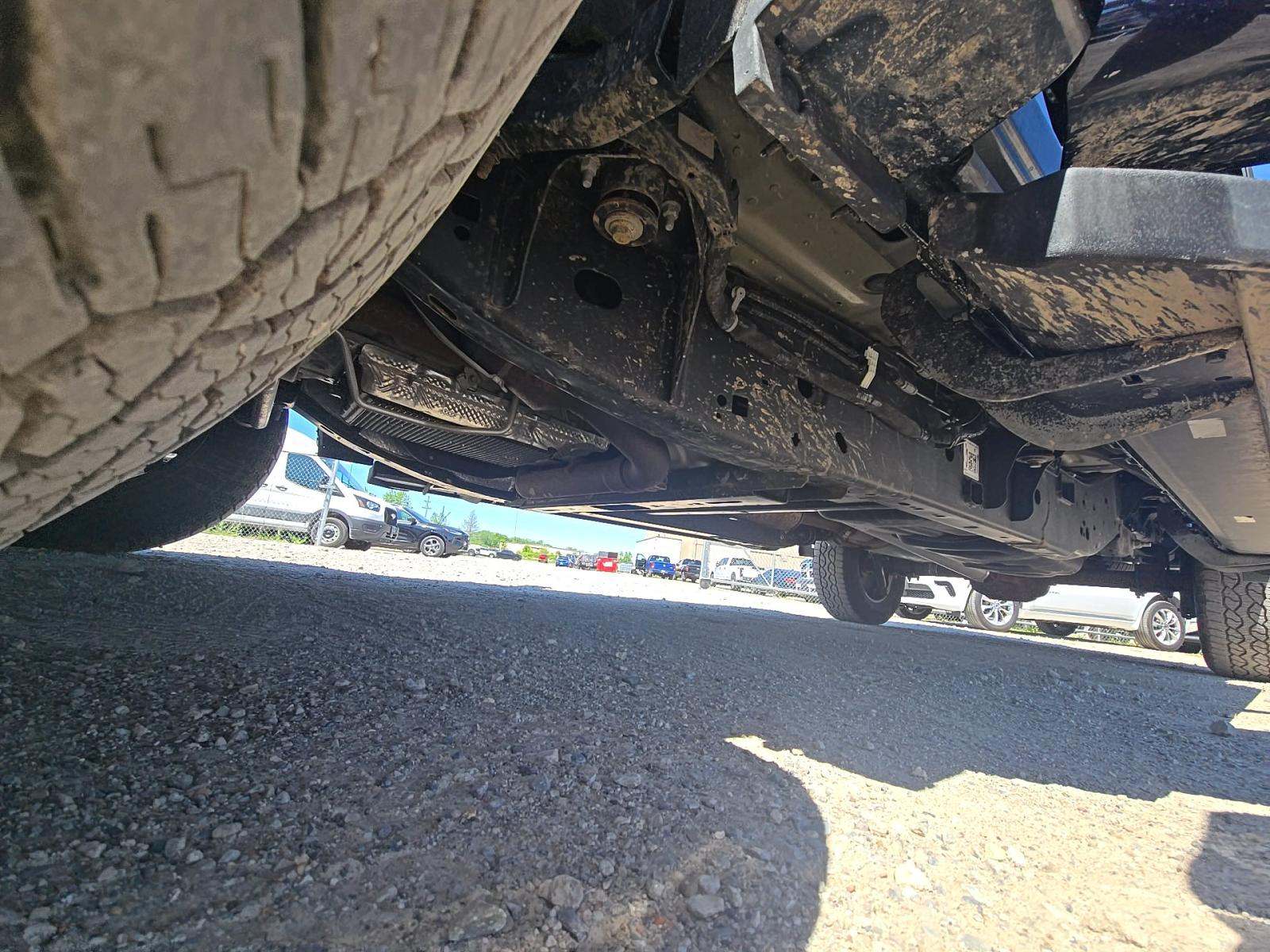 2024 Ford F-150 XLT AWD