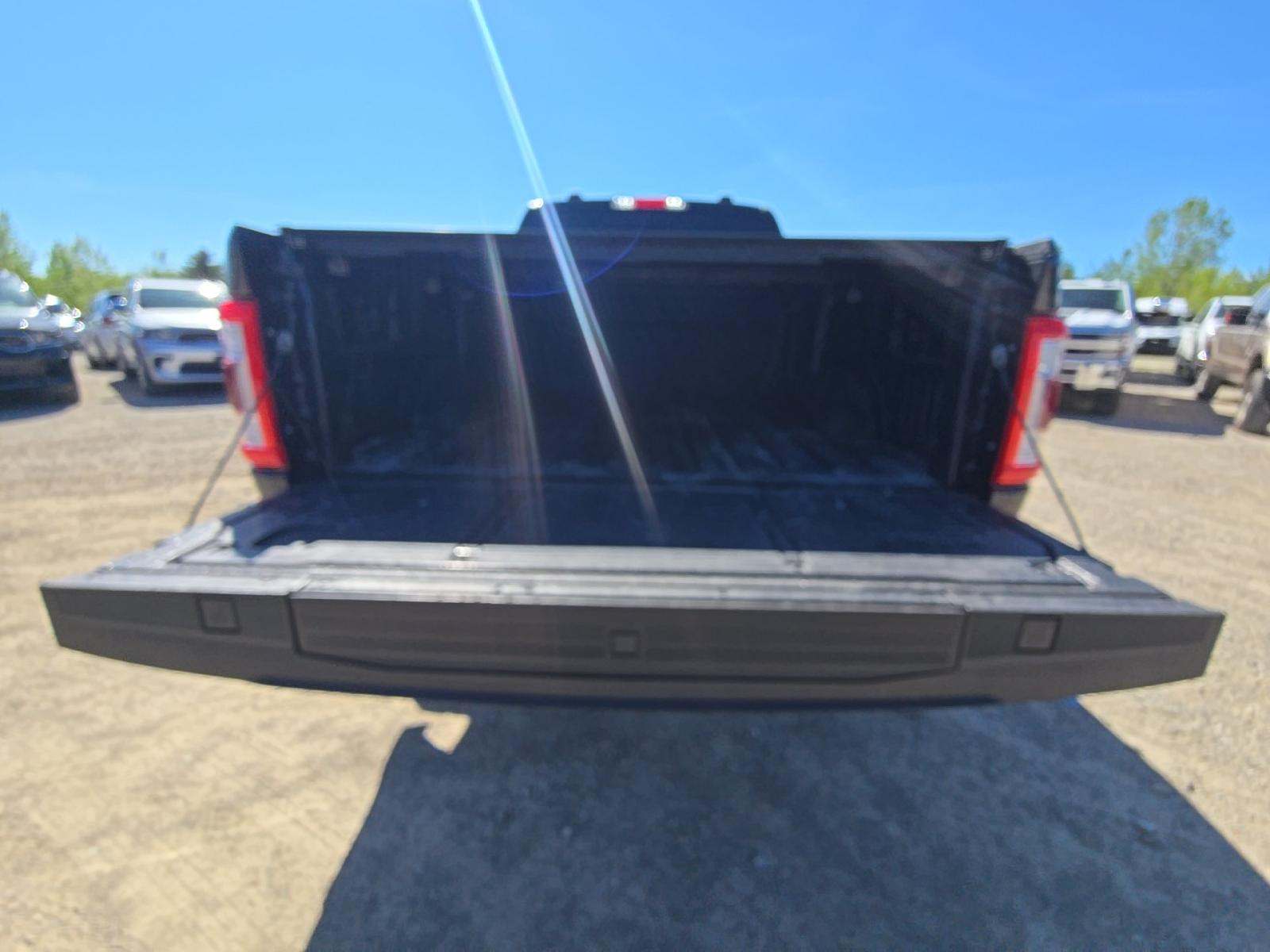 FORD F-150 - 10