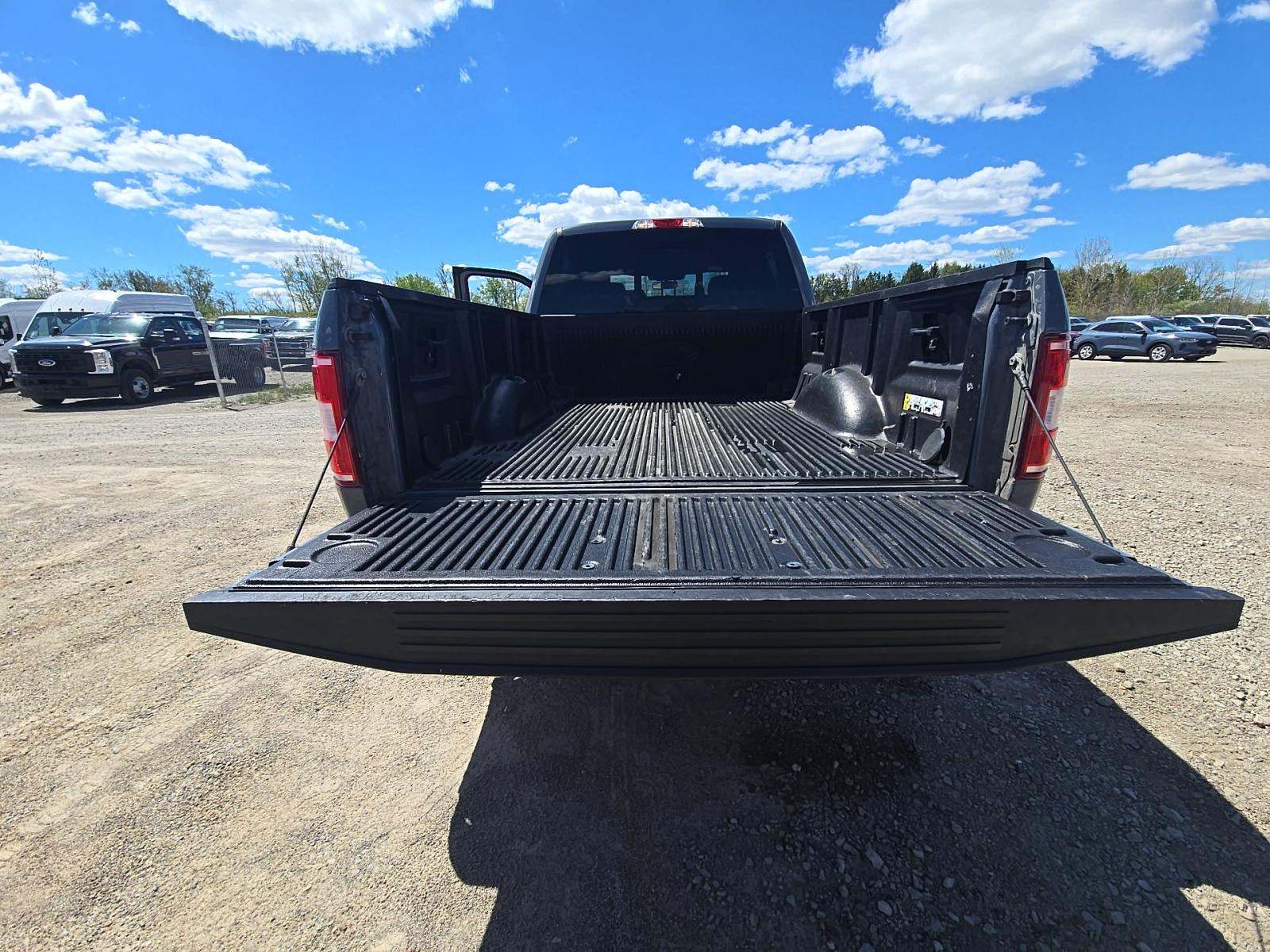 FORD F-150 - 10