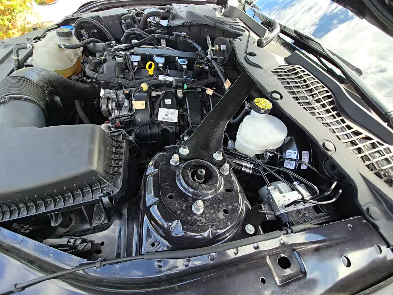 2023 Ford Mustang EcoBoost Premium RWD