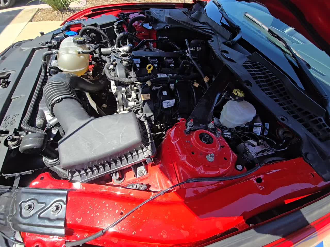 2023 Ford Mustang EcoBoost Premium RWD