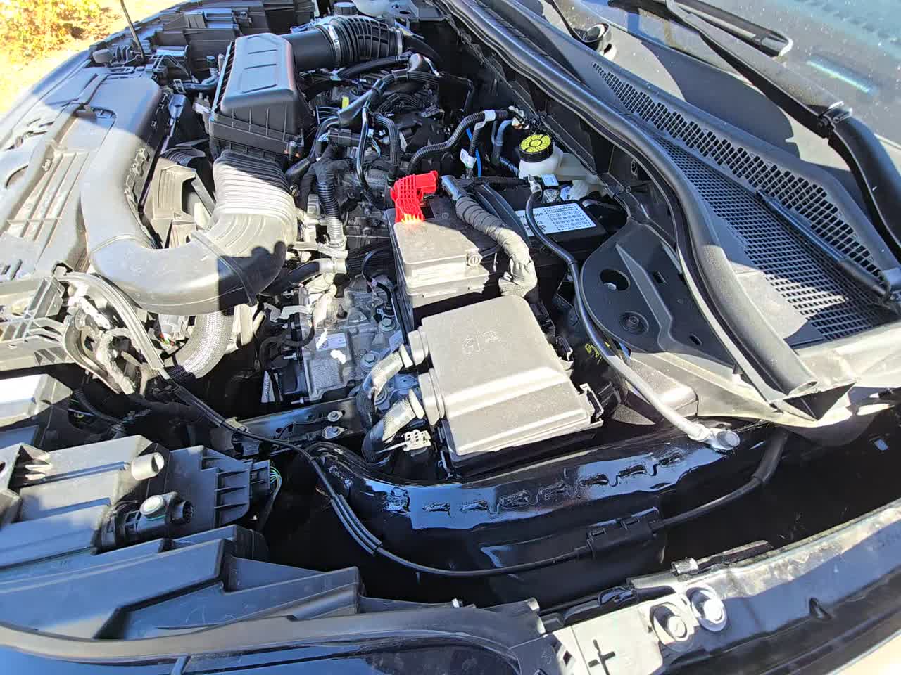 2025 Ford Escape ST-Line AWD