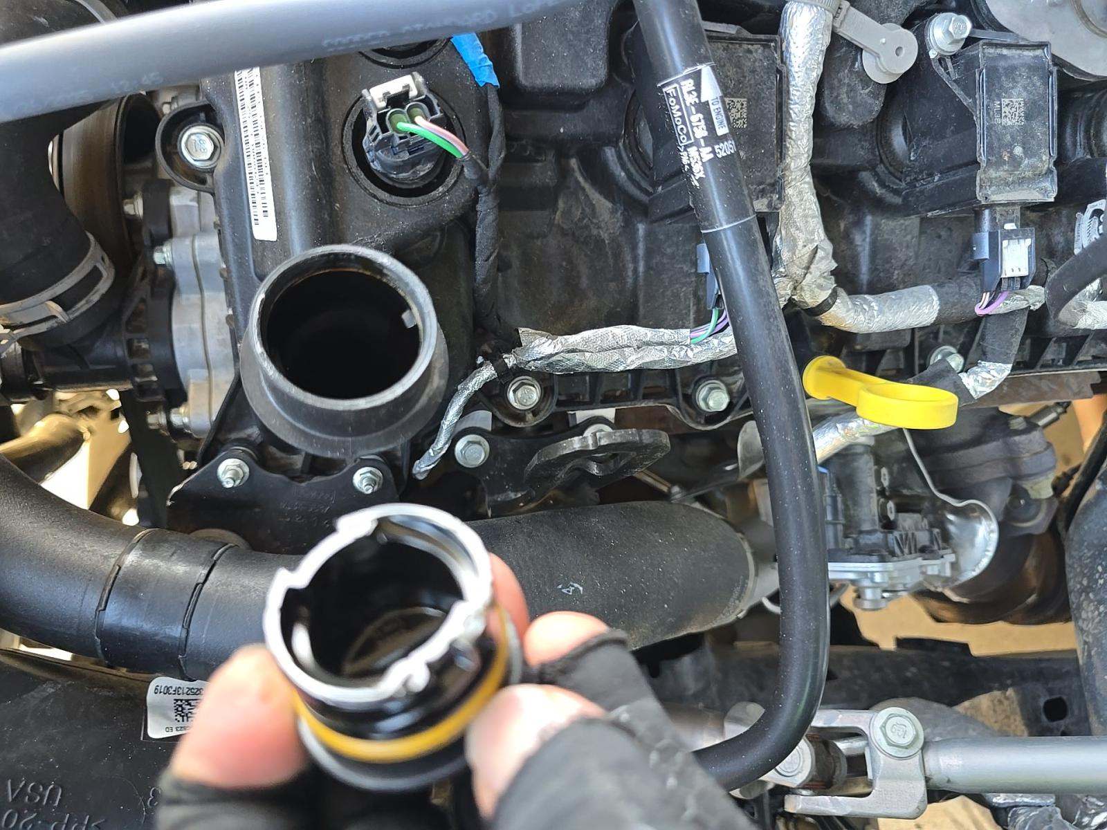 2025 Ford F-150 XLT RWD