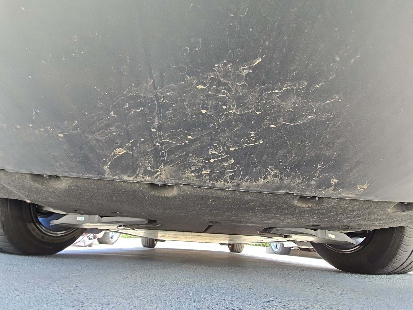 2024 Porsche Taycan Base RWD