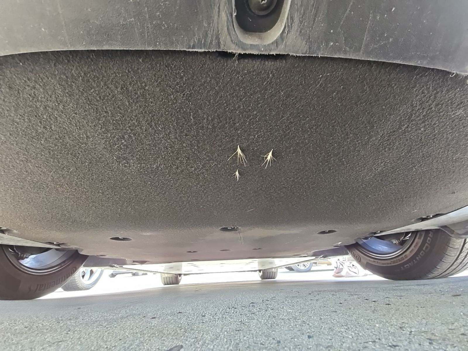 2024 Porsche Taycan Base RWD