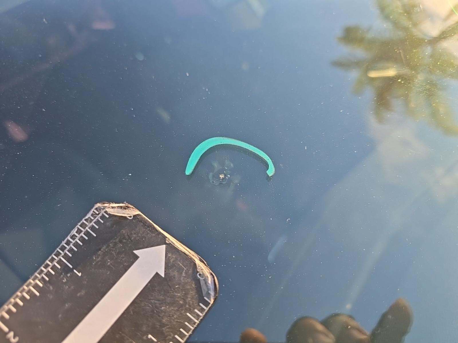 2019 Volkswagen Jetta 1.4T S FWD