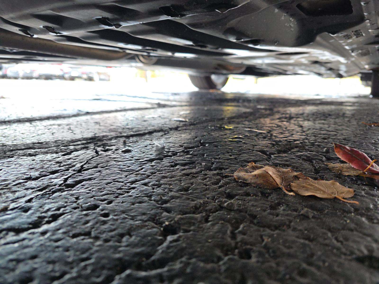 2022 Honda Civic Sport FWD