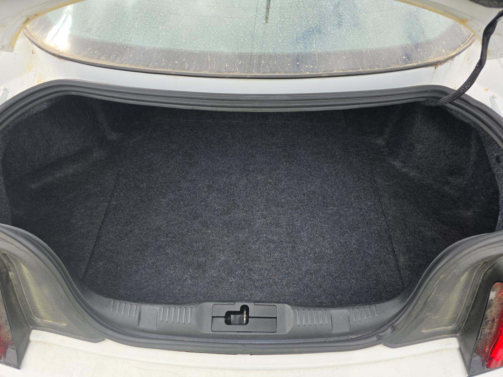 2019 Ford Mustang EcoBoost RWD