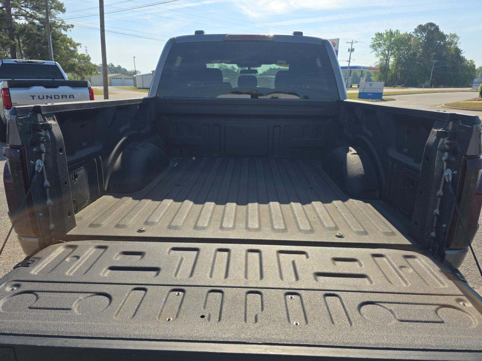 FORD F-150 - 10