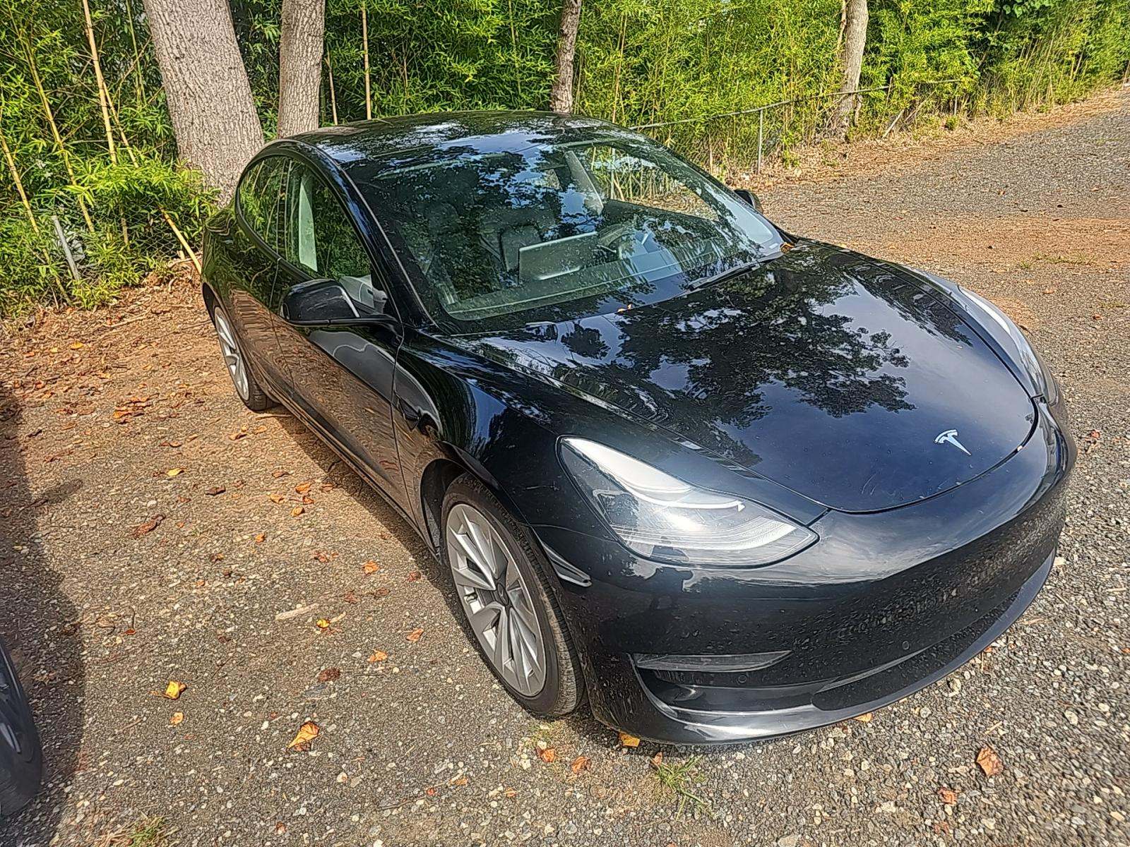 2022 Tesla Model 3 Standard Range RWD