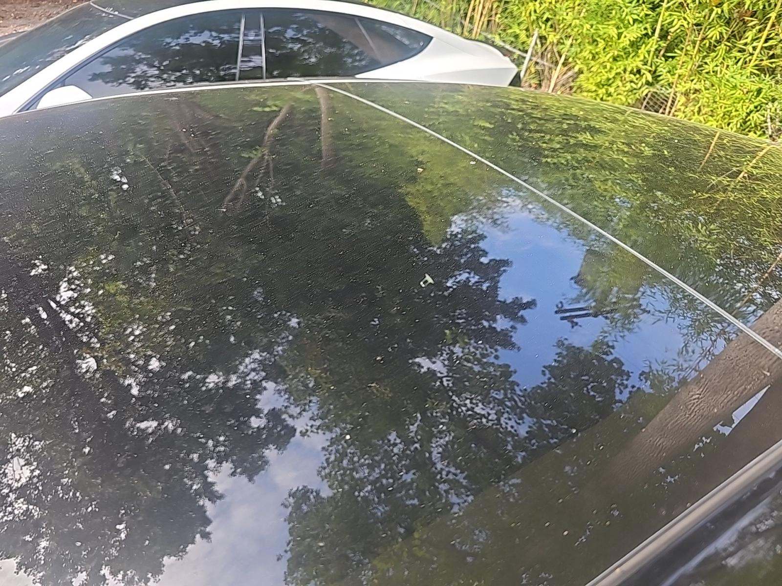 2022 Tesla Model 3 Standard Range RWD