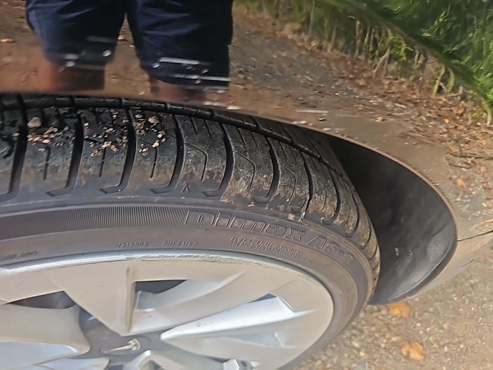 2022 Tesla Model 3 Standard Range RWD