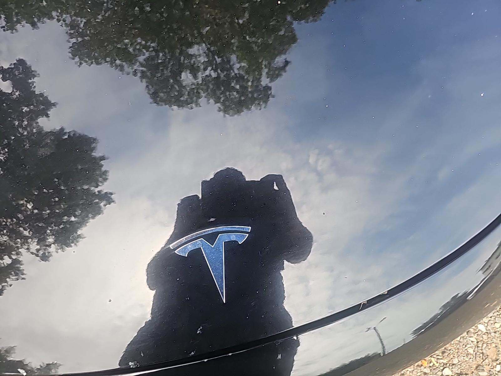 2022 Tesla Model 3 Standard Range RWD