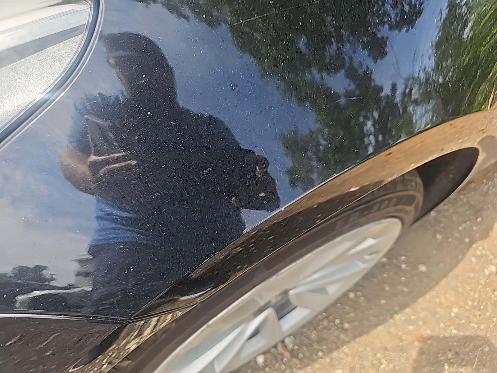 2022 Tesla Model 3 Standard Range RWD