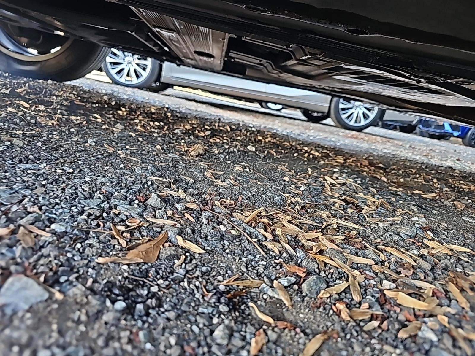 2020 Mercedes-Benz GLE GLE 350 AWD