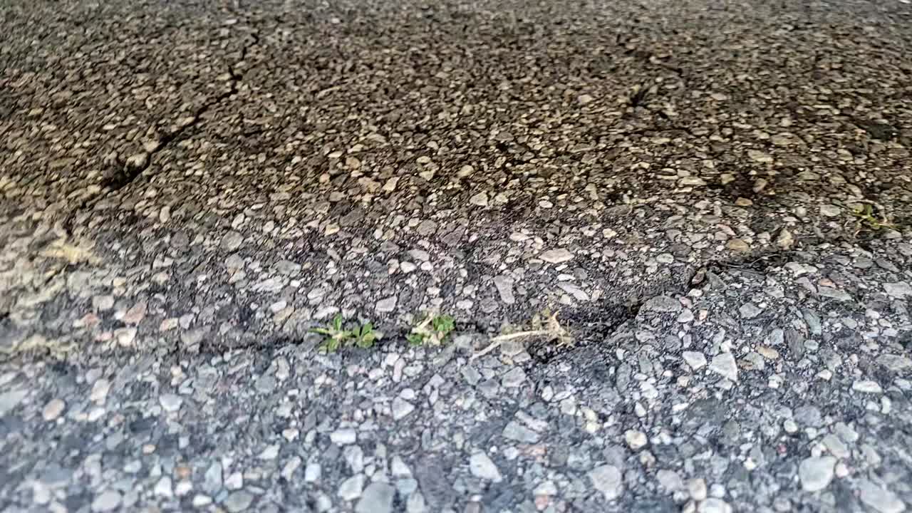 2016 Volkswagen Touareg 3.6L Sport AWD