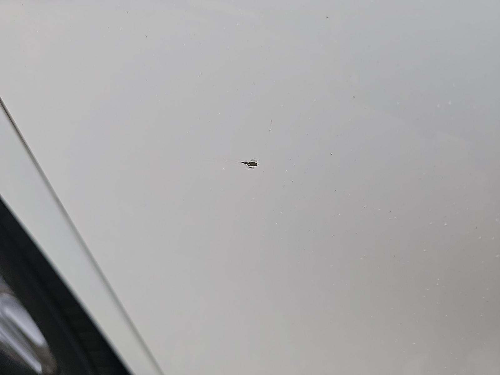 2022 Toyota Sienna LE FWD