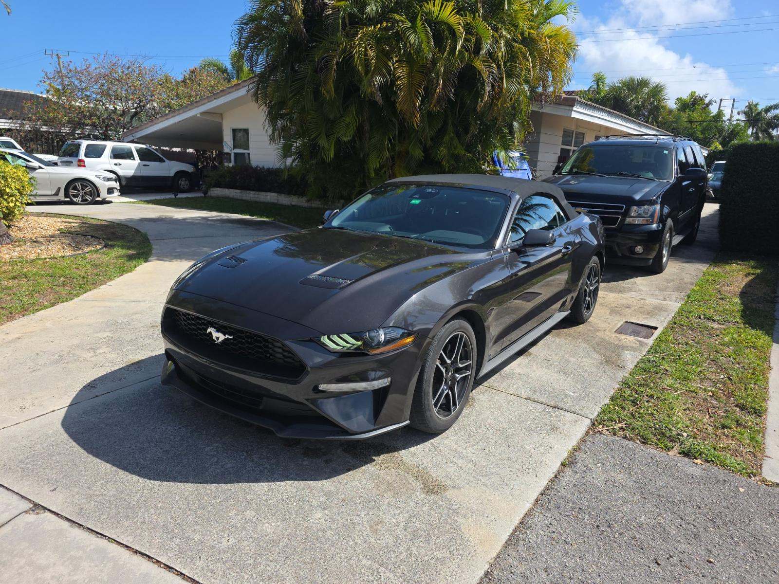 2023 Ford Mustang EcoBoost RWD