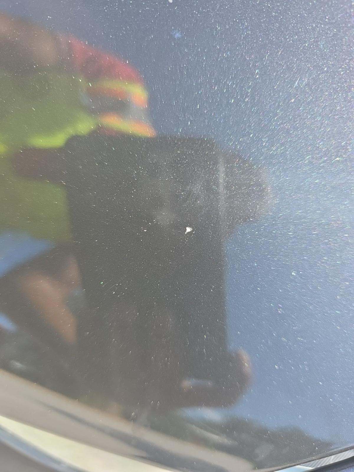 2023 Ford Mustang EcoBoost RWD