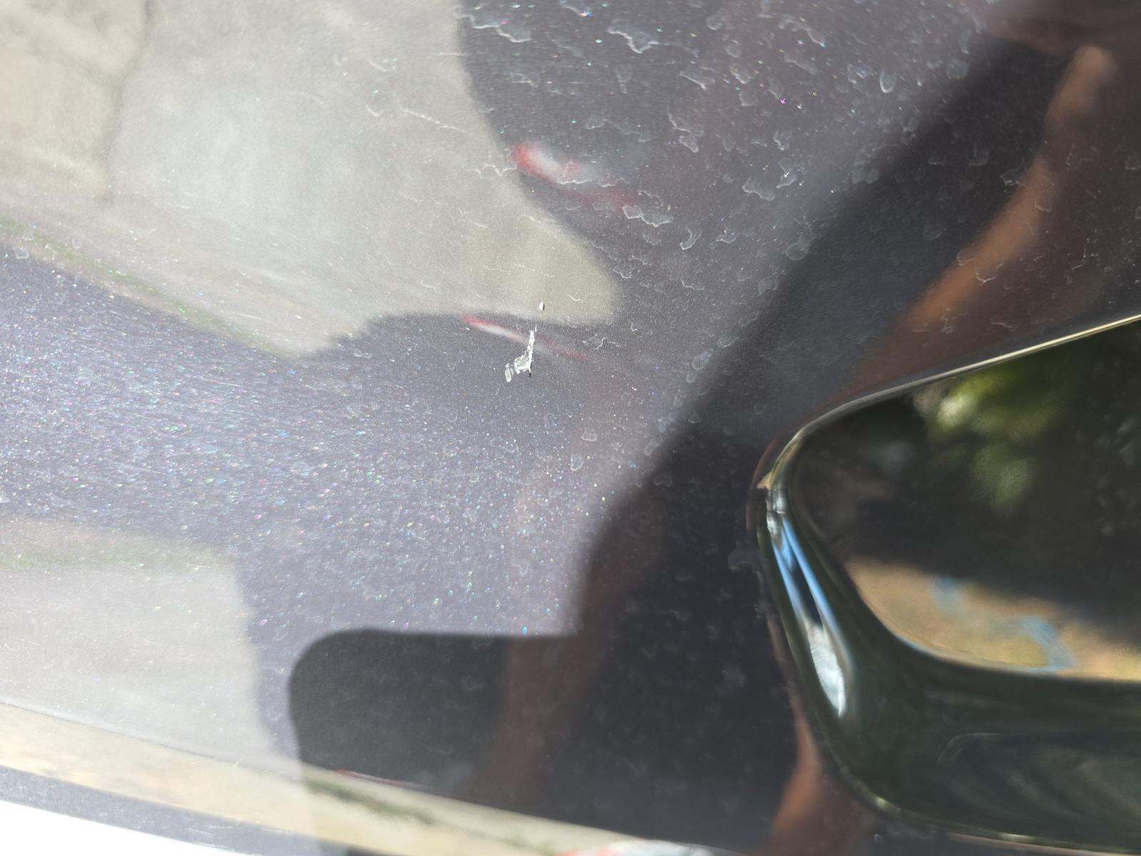 2023 Ford Mustang EcoBoost RWD