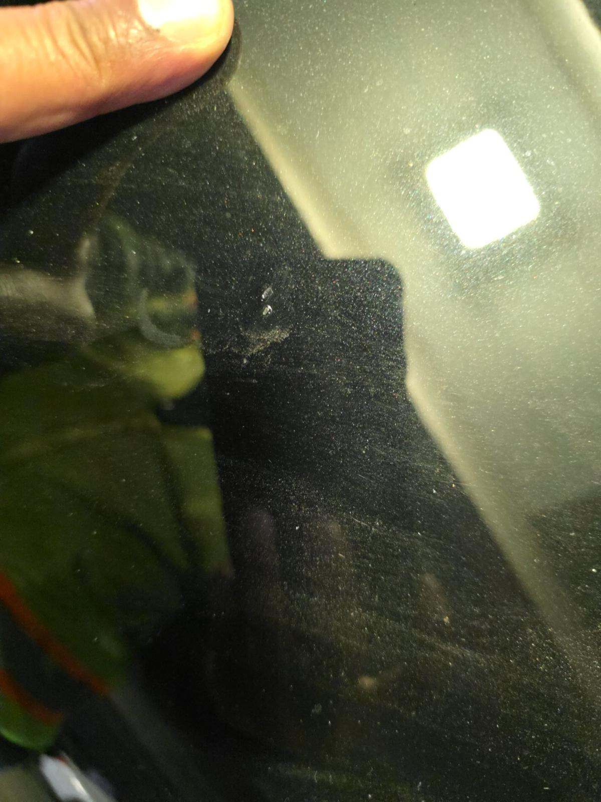 2022 Audi SQ5 Prestige AWD