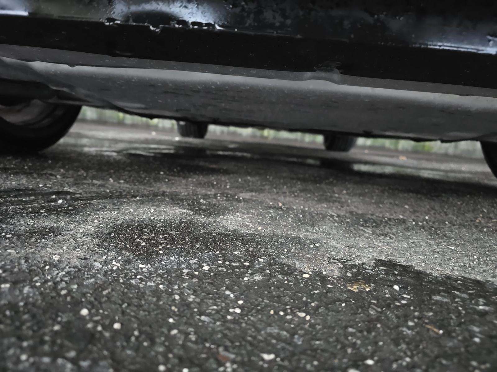 2024 Audi S5 Premium AWD