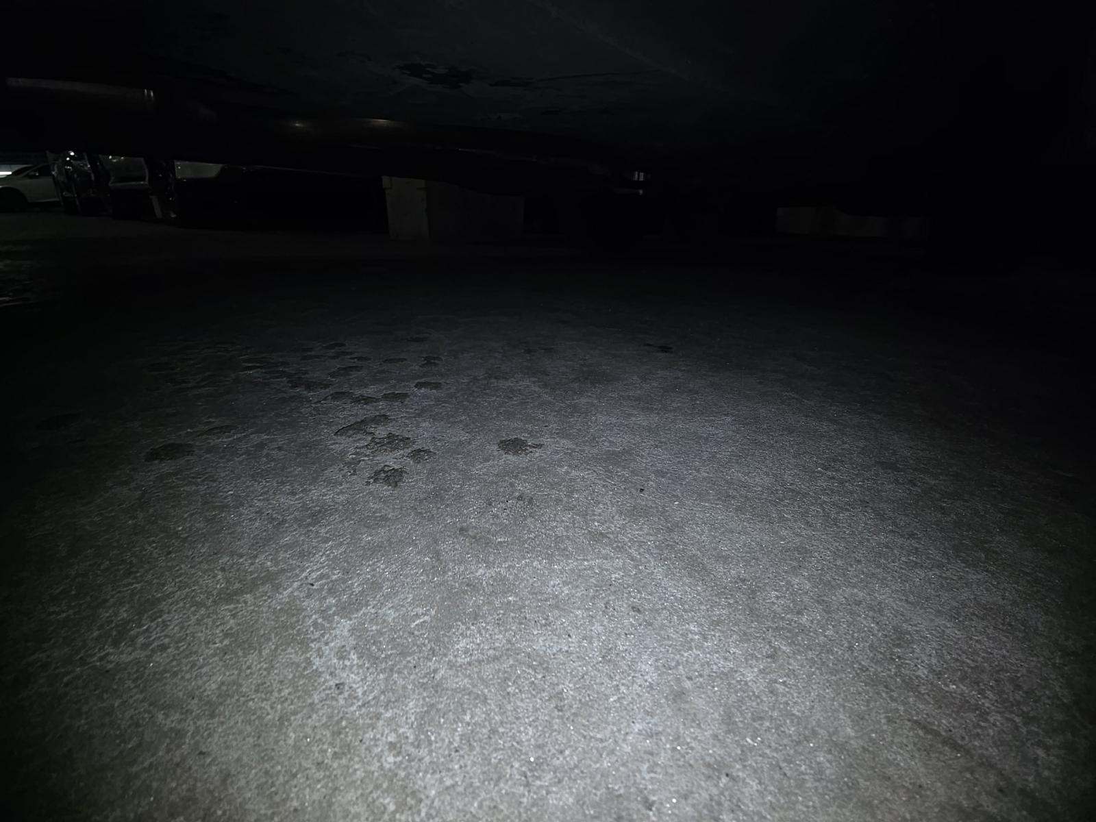 2024 Volkswagen Tiguan 2.0T SEL R-Line AWD