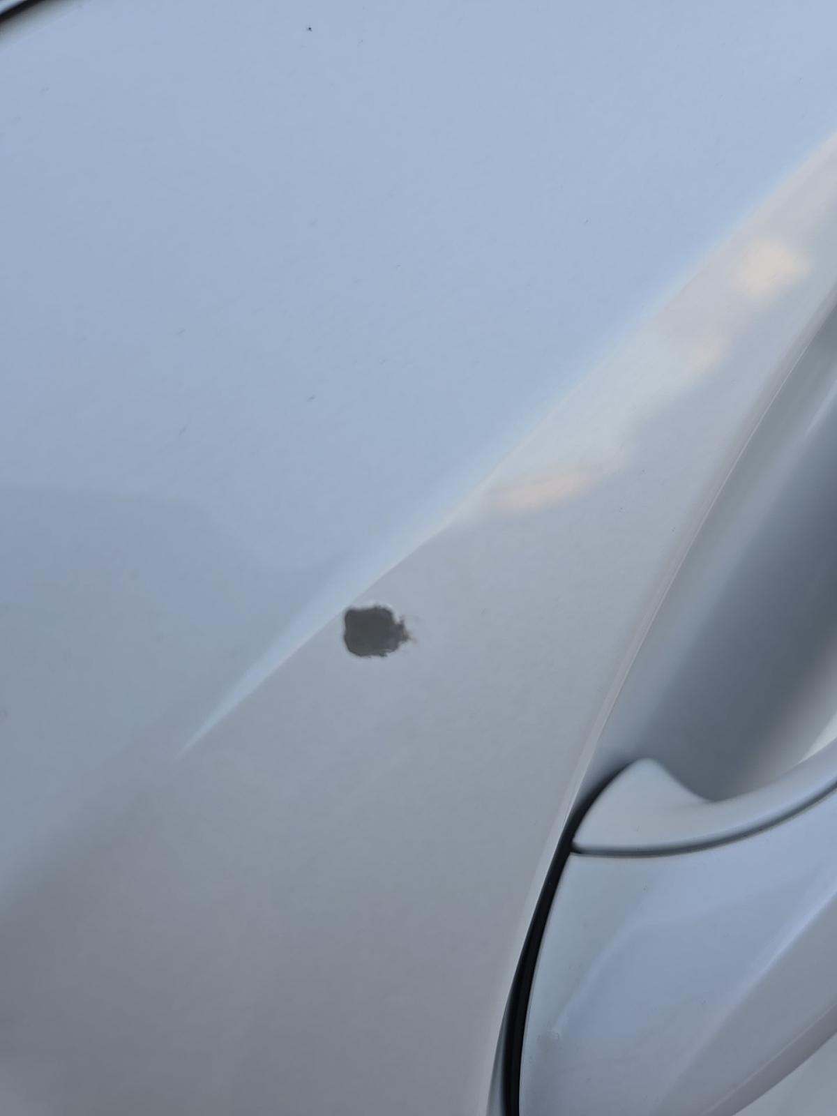 2019 BMW 3 Series 330i RWD