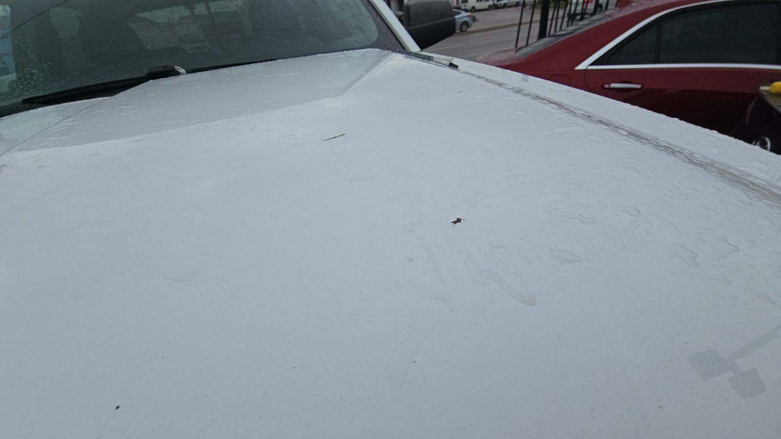 2016 Chevrolet Silverado 2500HD Work Truck RWD