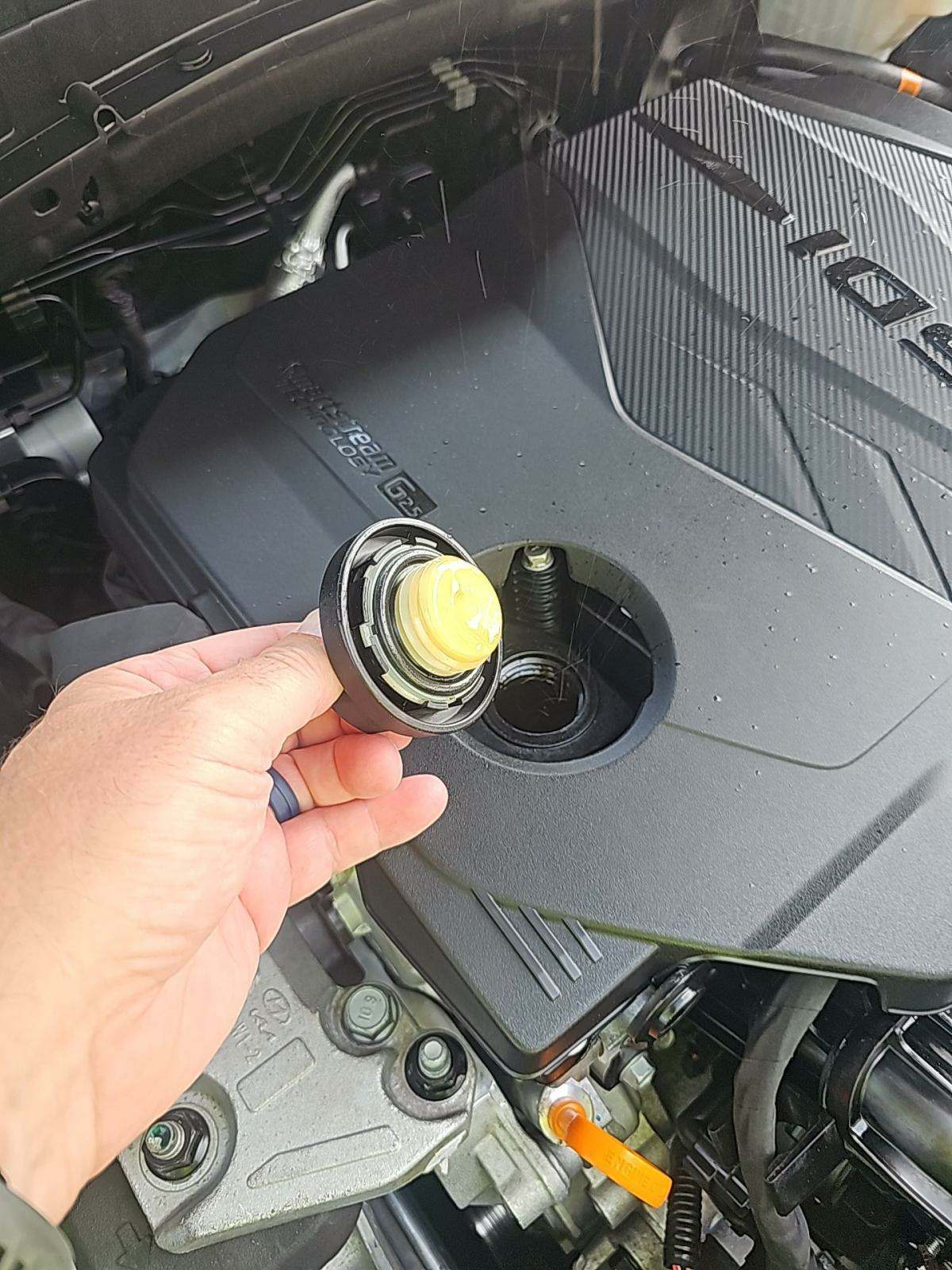 2024 Kia Sportage LX FWD