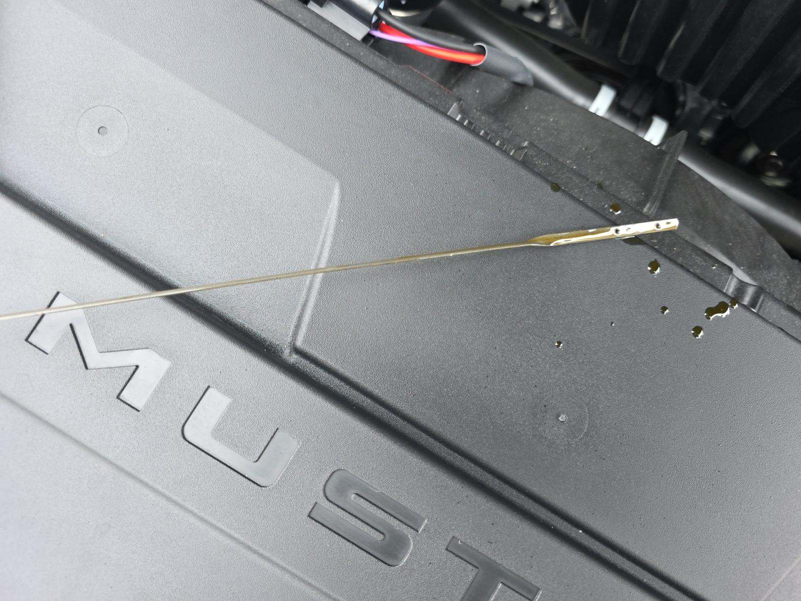 2025 Ford Mustang EcoBoost Premium RWD