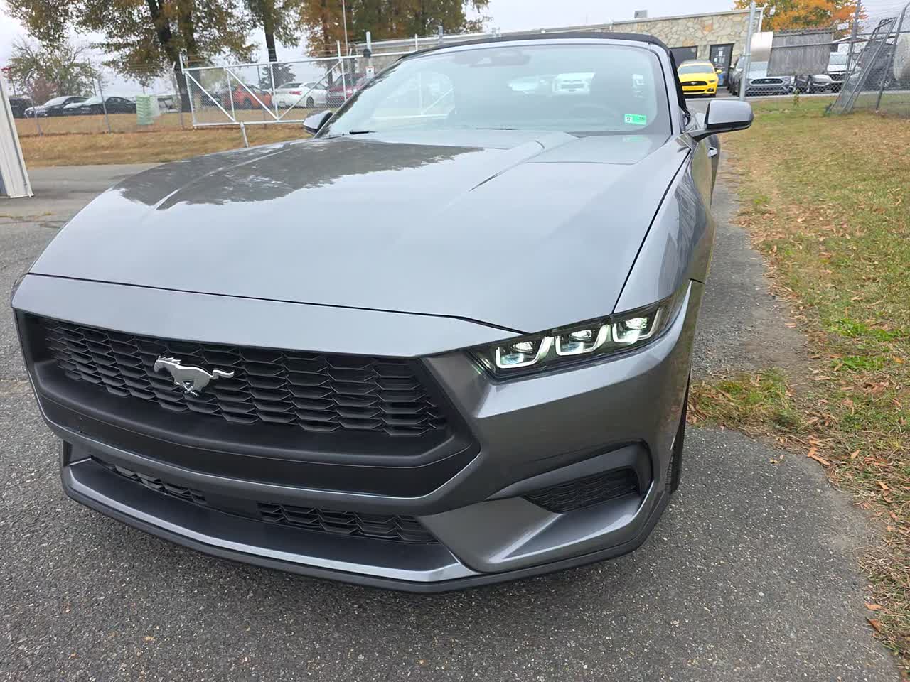 2025 Ford Mustang EcoBoost Premium RWD